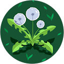 Egna De carvalho O. profile picture